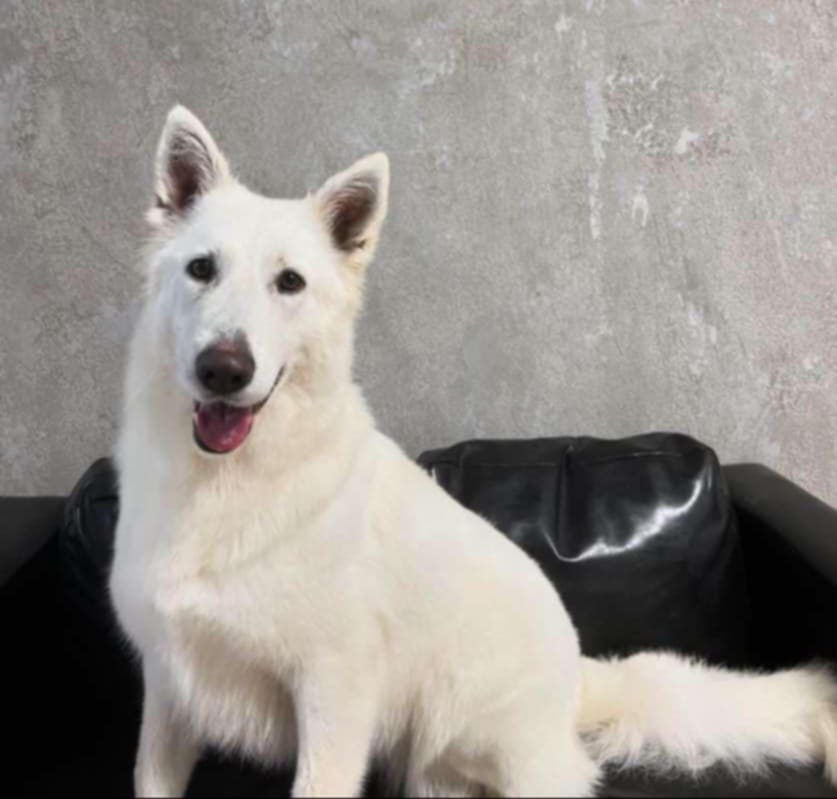 Elza